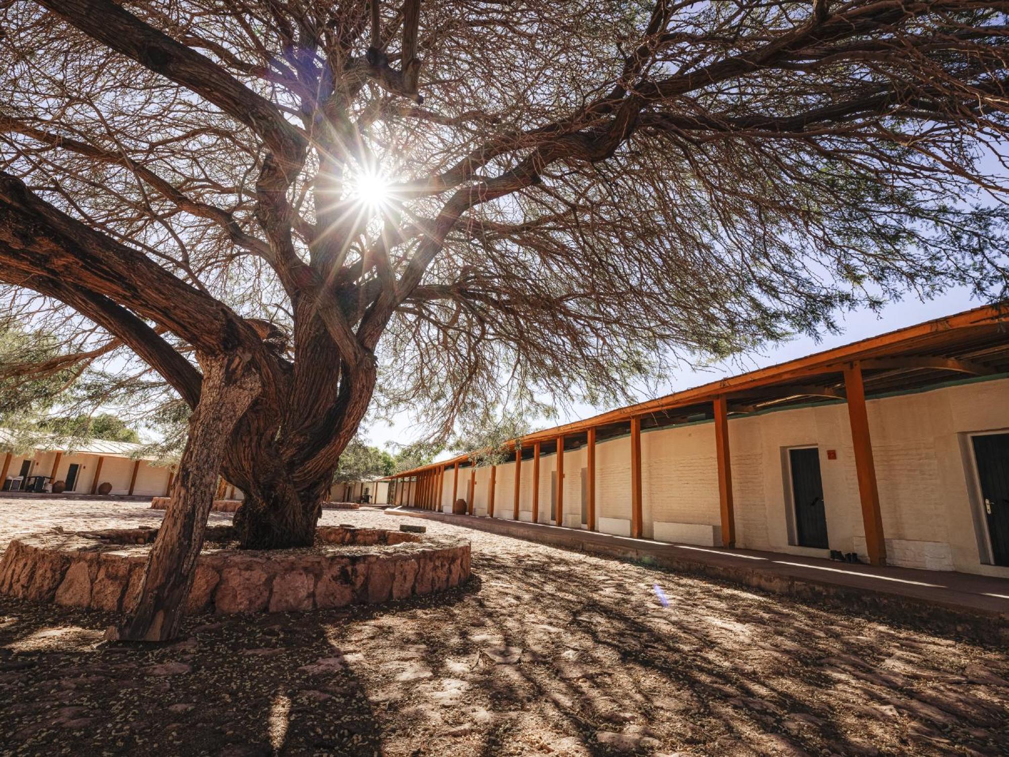 Вилла Explora En Atacama Сан-Педро-де-Атакама Экстерьер фото